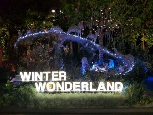 "Winter Wonderland" at the Singapore Garden Festival 2016