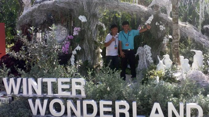 “Winter Wonderland” At The Singapore Garden Festival 2016