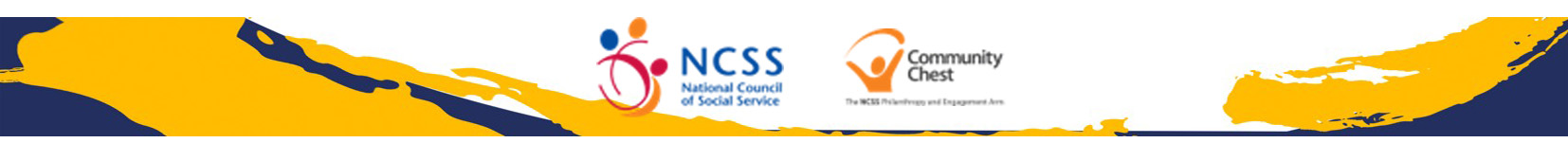 APSN CCA Report Bottom Banner