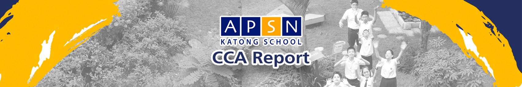 APSN CCA Report Banner